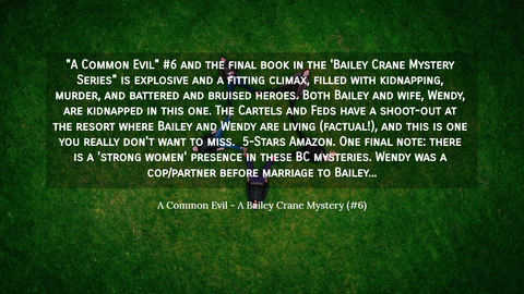 a common evil 6 and the final book in the bailey crane mystery series is...