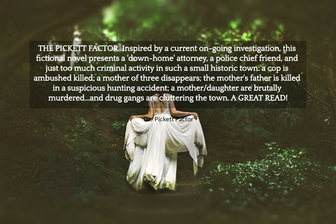 the pickett factor inspired by a current on going investigation this fictional novel...