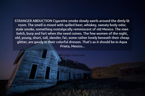 stranger abduction cigarette smoke slowly swirls around the dimly lit room the smell is...