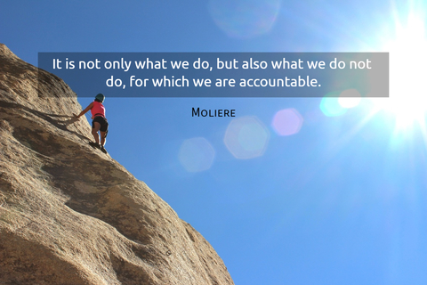 1553594023071-it-is-not-only-what-we-do-but-also-what-we-do-not-do-for-which-we-are-accountable.jpg