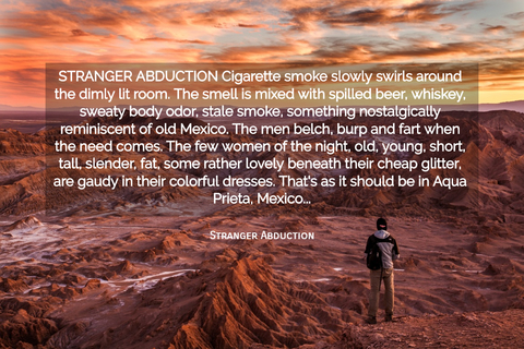 stranger abduction cigarette smoke slowly swirls around the dimly lit room the smell is...