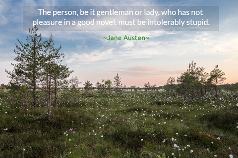 the person be it gentleman or lady who has not pleasure in a good novel must be...