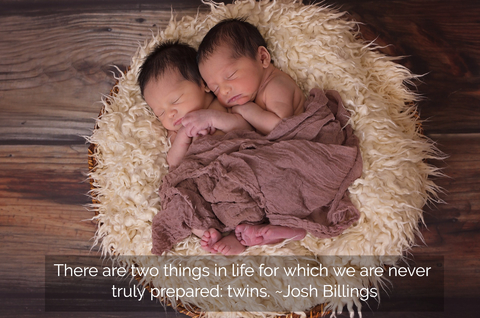 there are two things in life for which we are never truly prepared twins...