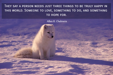 they say a person needs just three things to be truly happy in this world someone to...