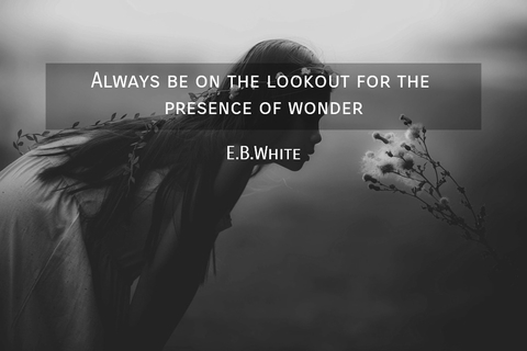 always be on the lookout for the presence of wonder...