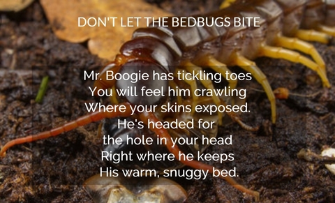 mr boogie has tickling toes you will feel him crawling where your skins exposed hes...