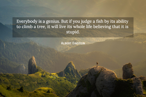 1561392652707-everybody-is-a-genius-but-if-you-judge-a-fish-by-its-ability-to-climb-a-tree-it-will.jpg