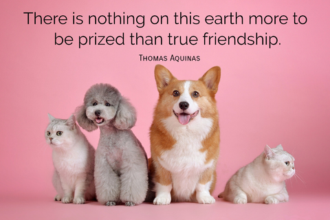 there is nothing on this earth more to be prized than true friendship...