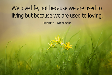 we love life not because we are used to living but because we are used to loving...