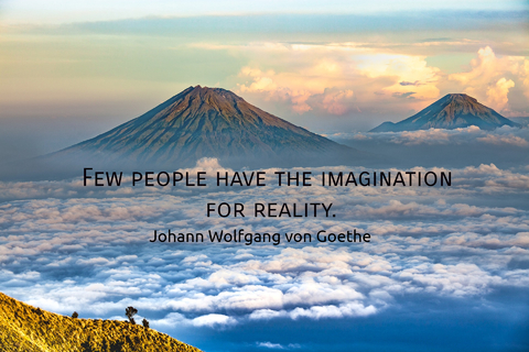 few people have the imagination for reality...