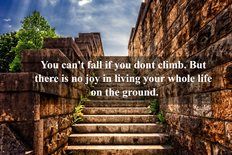 you cant fall if you dont climb but theres no joy in living your whole life on the...