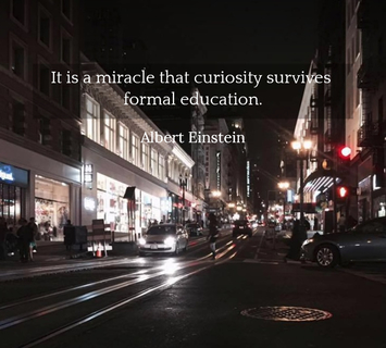 1562276636033-it-is-a-miracle-that-curiosity-survives-formal-education.jpg