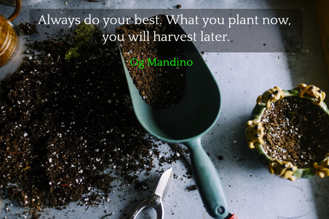 always do your best what you plant now you will harvest later...