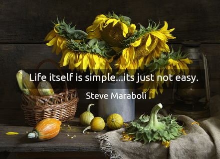 life itself is simple its just not easy...