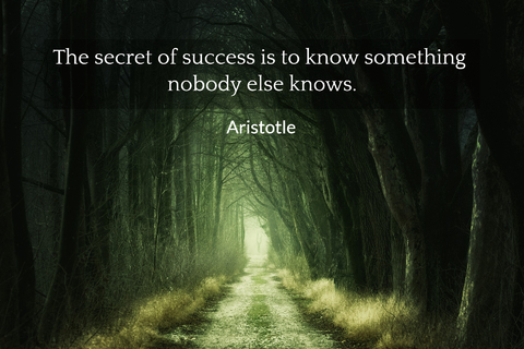the secret of success is to know something nobody else knows...