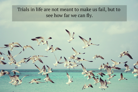 trials in life are not meant to make us fail but to see how far we can fly...