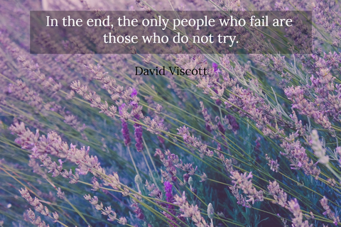 in the end the only people who fail are those who do not try...