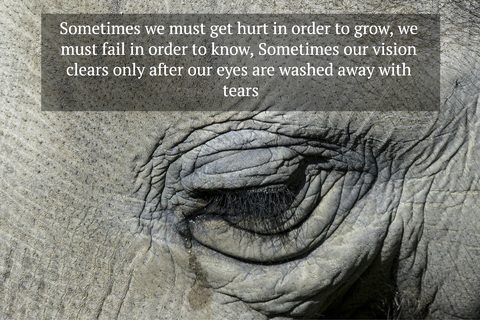 sometimes we must get hurt in order to grow we must fail in order to know sometimes our...