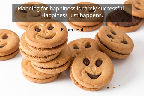 planning for happiness is rarely successful happiness just happens...