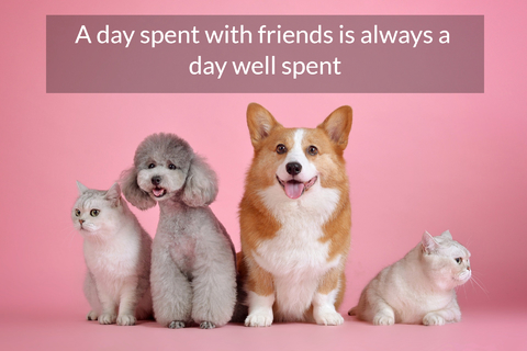 a day spent with friends is always a day well spent...