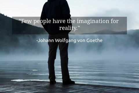 few people have the imagination for reality...