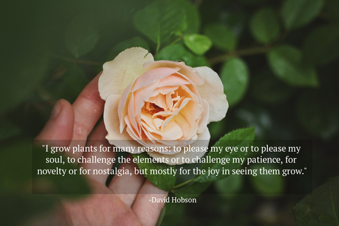 i grow plants for many reasons to please my eye or to please my soul to challenge the...