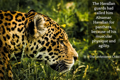 the havallan guards had called him alnamar which was havallan for panthera because of...