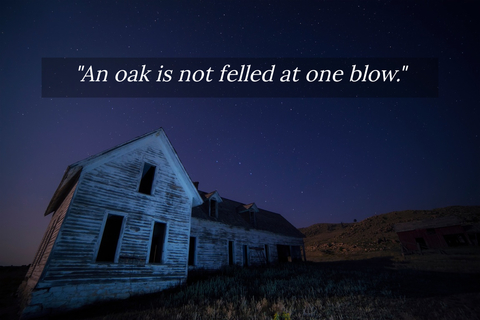 an oak is not felled at one blow...