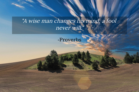 a wise man changes his mind a fool never will...