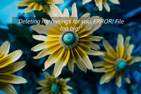 deleting my feelings for you error file too big...