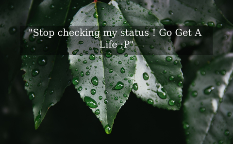 stop checking my status go get a life p...