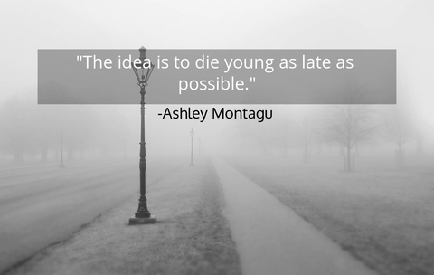 the idea is to die young as late as possible...