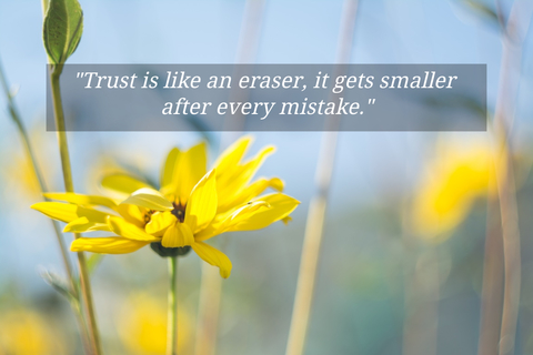 trust is like an eraser it gets smaller after every mistake...