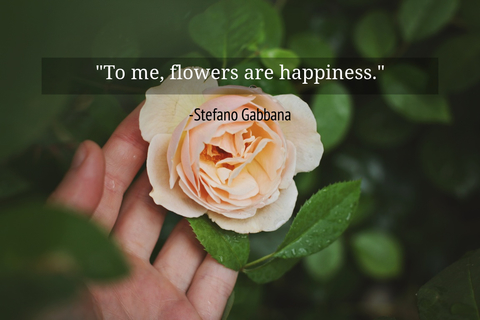 to me flowers are happiness...