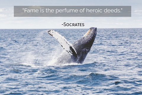 fame is the perfume of heroic deeds...