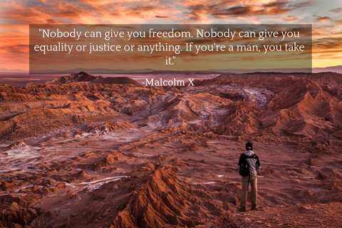 nobody can give you freedom nobody can give you equality or justice or anything if...