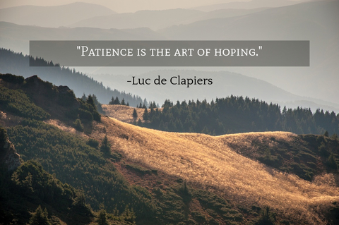 patience is the art of hoping...