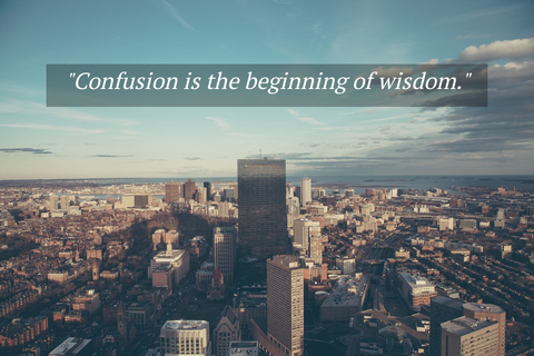 confusion is the beginning of wisdom...