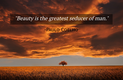 beauty is the greatest seducer of man...