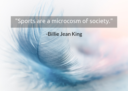 sports are a microcosm of society...