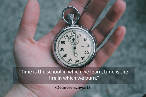 time is the school in which we learn time is the fire in which we burn...