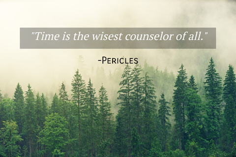 time is the wisest counselor of all...