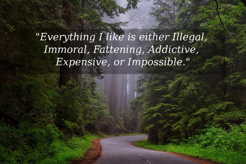 everything i like is either illegal immoral fattening addictive expensive or...