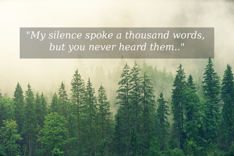 my silence spoke a thousand words but you never heard them...