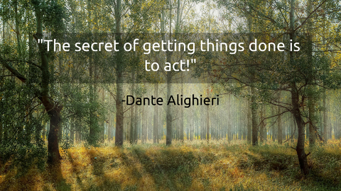 the secret of getting things done is to act...