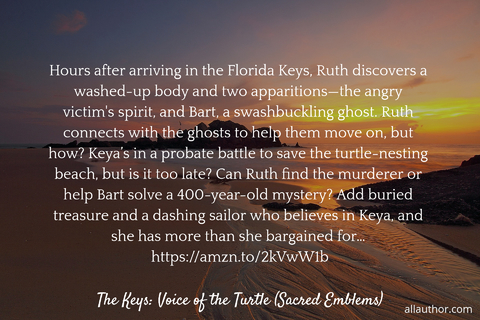 1569238919241-hours-after-arriving-in-the-florida-keys-ruth-discovers-a-washed-up-body-and-two.jpg