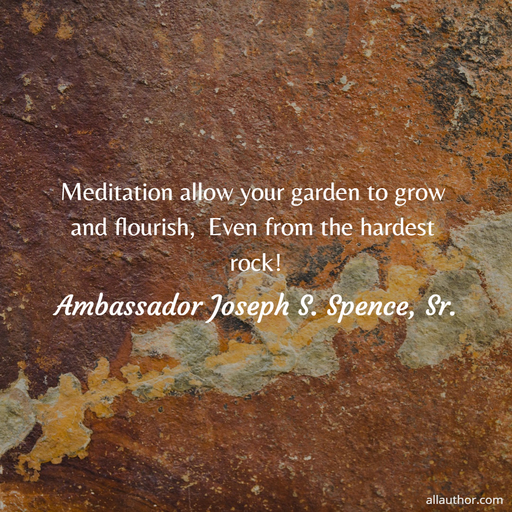 meditation allow your garden to grow and flourish even from the hardest rock...