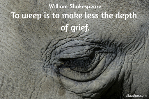 to weep is to make less the depth of grief...
