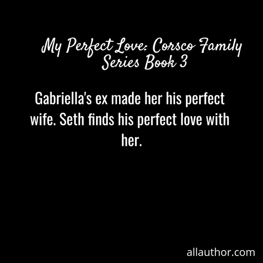 gabriellas ex made her his perfect wife seth finds his perfect love with her...