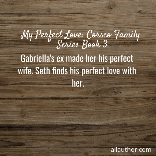 gabriellas ex made her his perfect wife seth finds his perfect love with her...